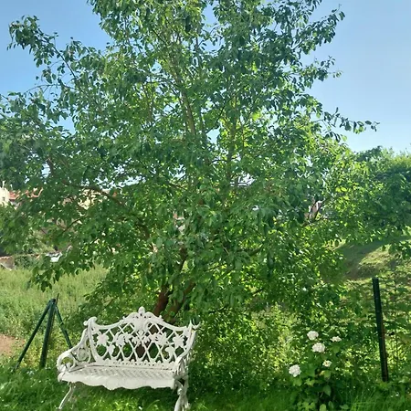 아파트 El Jardin De Vetusta